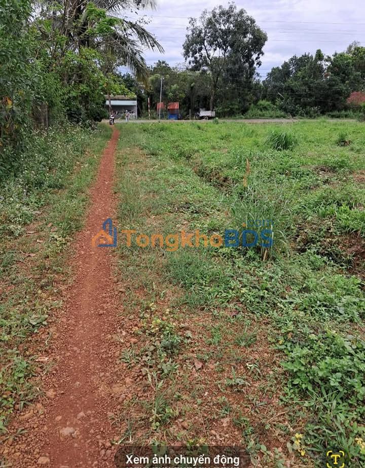 Đất nền Phước Hòa 168m² giá 285 triệu - Sổ đỏ chính chủ