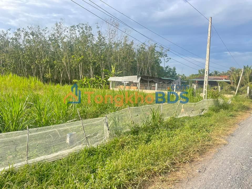 Đất nền Thạnh Đức 200m² 350 triệu - Đất thổ cư 100%