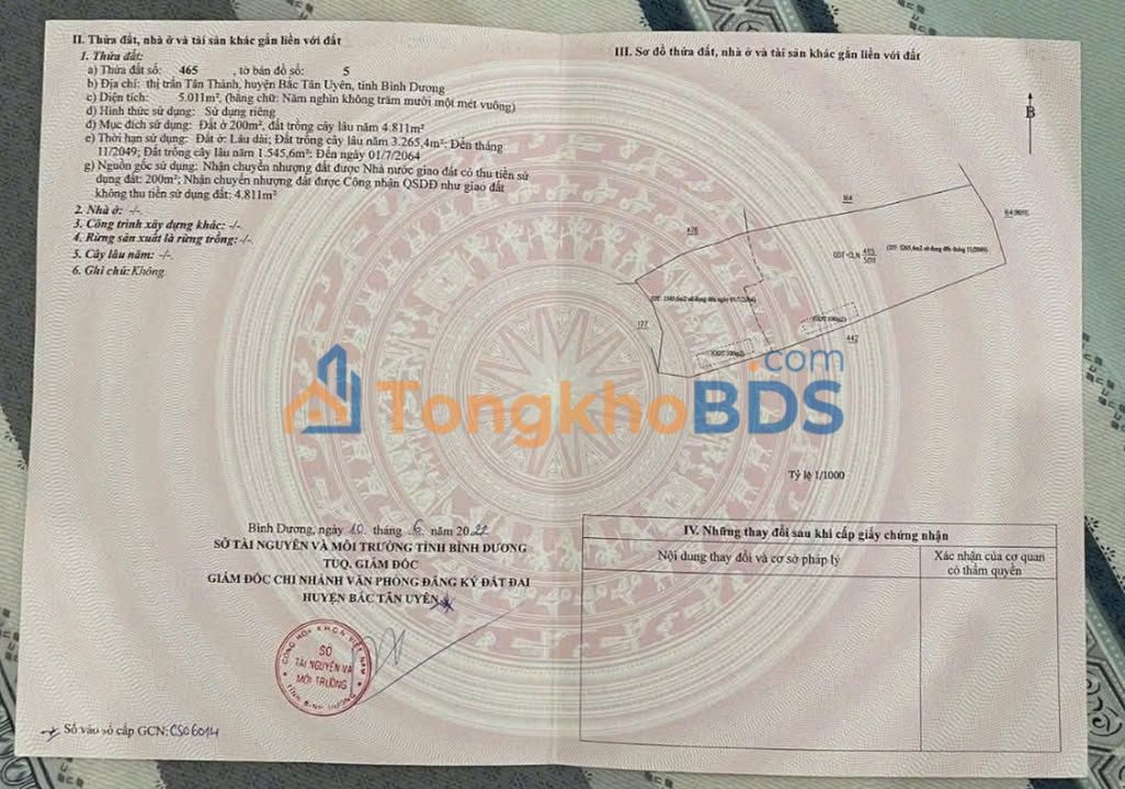 Đất Vàng Bắc Tân Uyên 5000m² - Sổ Đỏ Rõ Ràng, Giá Đầu Tư