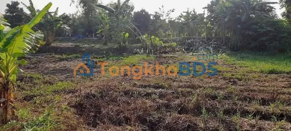 Bán Nền 200m² View Sông, Lộ Ô Tô - Long Xuyên, An Giang