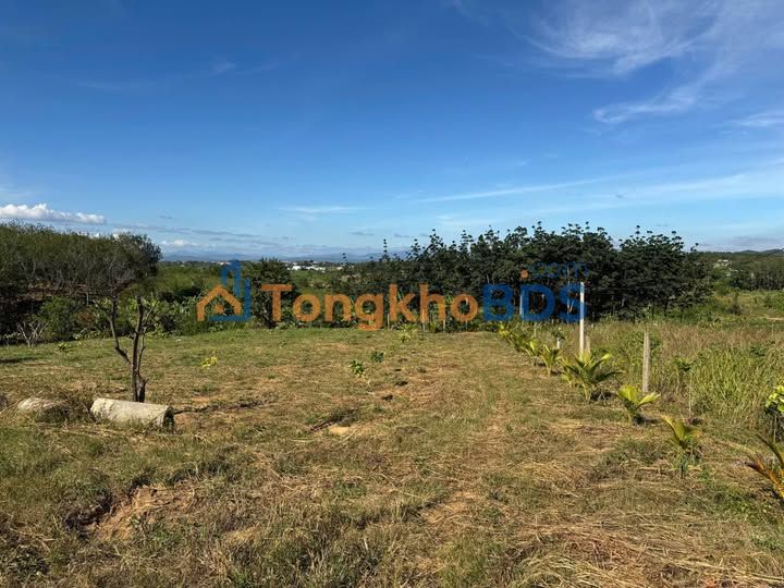 Đất vườn Măng Cành Kon Plông 1188m² 0,5-0,599 tỷ - Sinh thái xanh