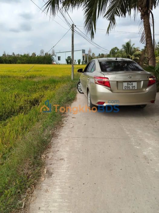 Đất nền 2500m² Càng Long, Trà Vinh - Giá 250 triệu, Sẵn Sổ Đỏ