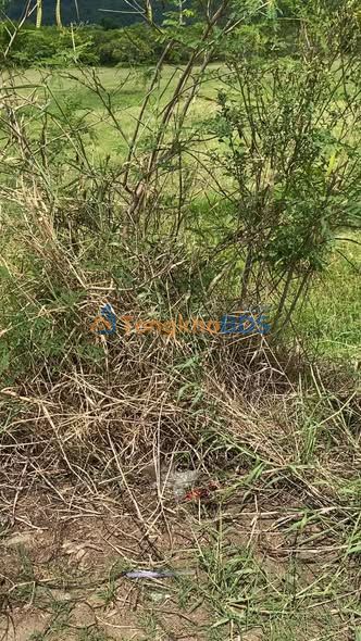 Đất nền Xuân Lộc 1.200m² giá 22 tỷ - Đường to ô tô