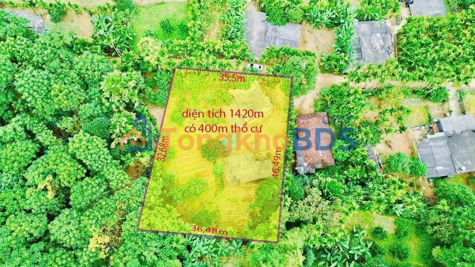 Đất nền Nhân Mỹ Tân Lạc 1420m2 900 triệu - Sổ đỏ chính chủ