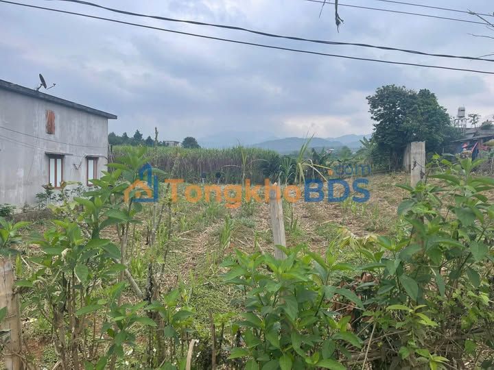 Đất Nam Phong Cao Phong 1137m² 1.5 tỷ - Đường ô tô