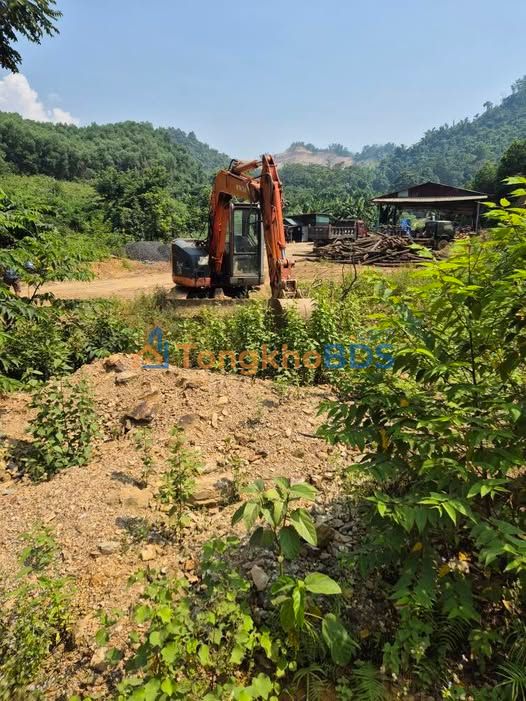 Bán Gấp Đất Vườn 2ha Hòa Bình - Gần Sân Golf, Cao Tốc - Giá Đầu Tư Tốt