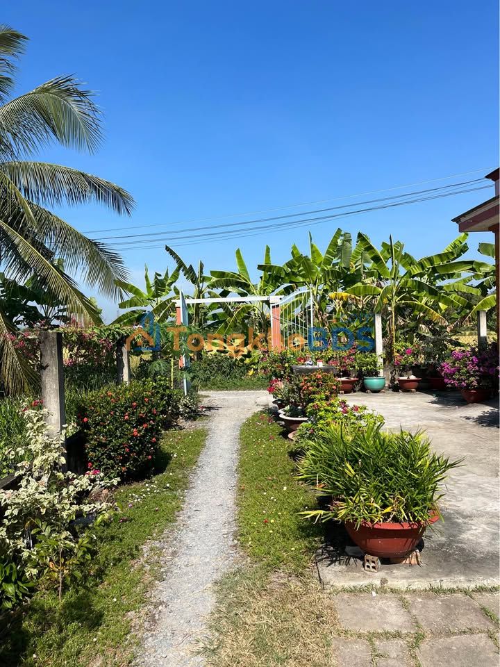 Đất nền Lợi Bình Nhơn Tân An 99m² 500 triệu - Sổ đỏ chính chủ