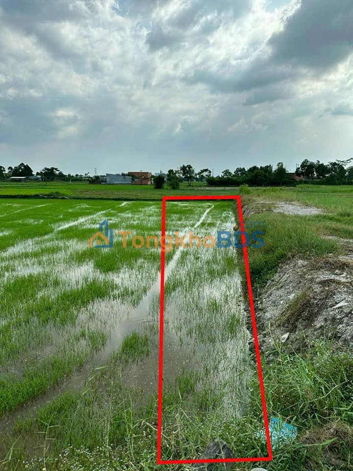 Đất nền Mặt tiền Nhựa Giồng Lớn, Đức Hòa 170m² - Giá 1.4 tỷ