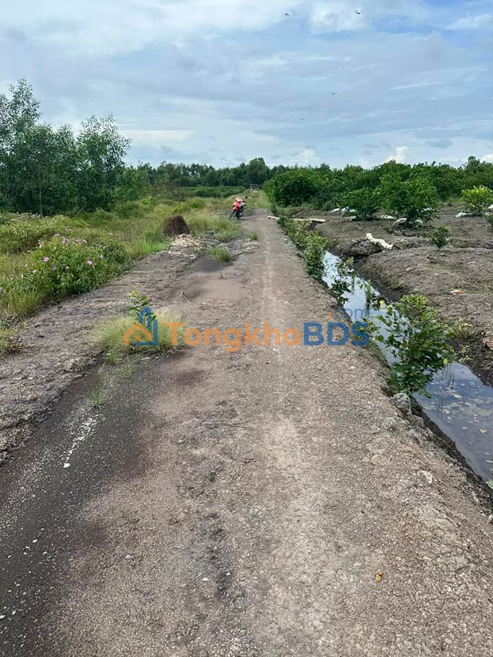 Đất vườn Thủ Thừa 2.881m² 1,1524 tỷ - Sổ hồng riêng