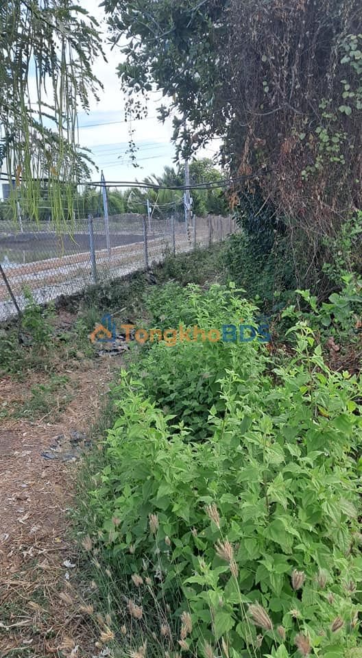 Đất vườn Phú Đông 741m² 235 triệu - Sổ đỏ chính chủ