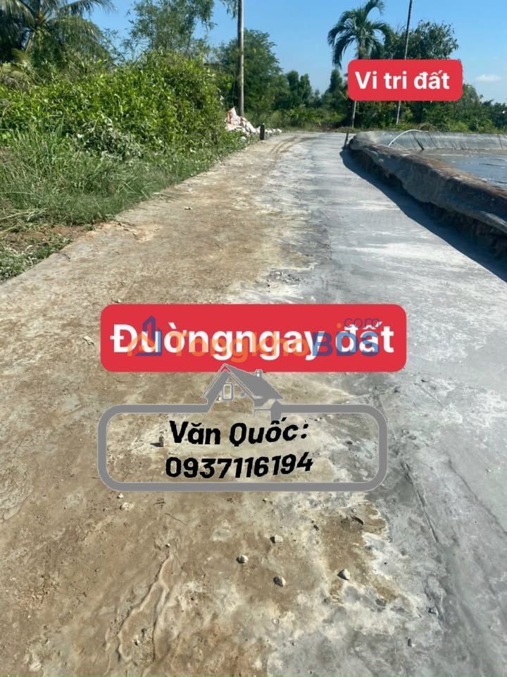 Đất nền Đức Tân Tân Trụ 190m² giá 319 triệu - Sổ đỏ chính chủ