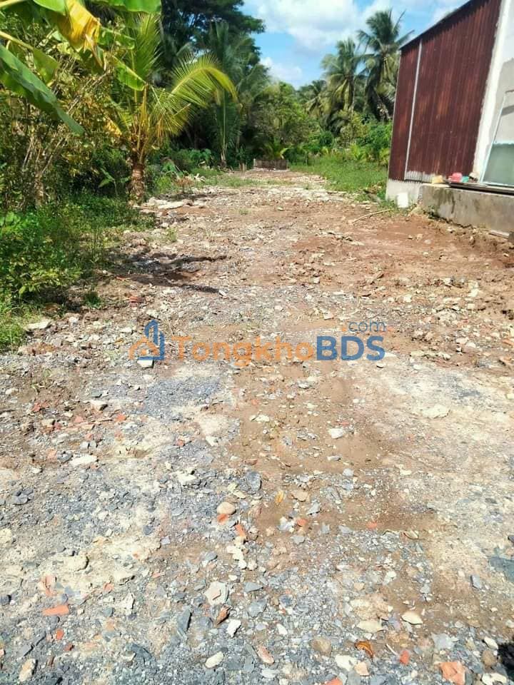 Đất nền Tân An Hội Mang Thít 300m² 390 triệu - Sổ đỏ chính chủ