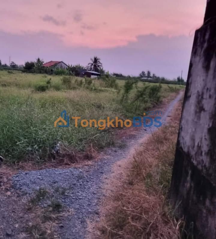 Đất Hòa Phú Châu Thành 1500m² 600 triệu - Sổ đỏ chính chủ