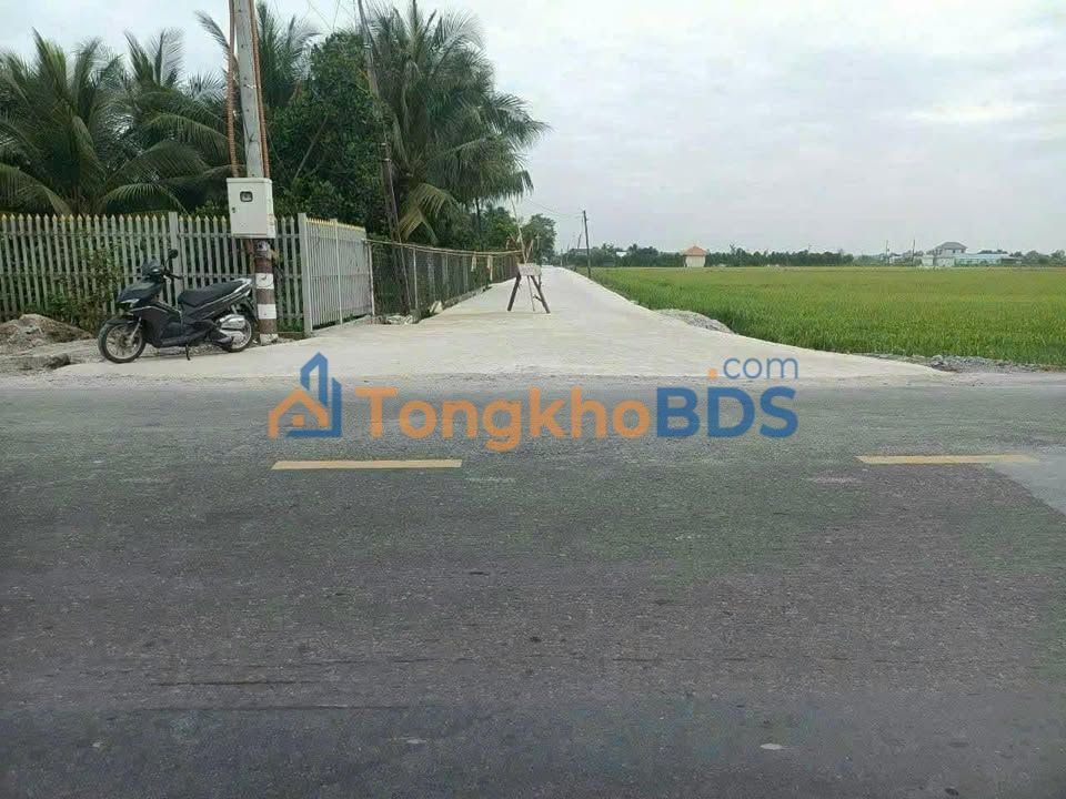 Đất nền Bình Tịnh Tân Trụ 115m² 370 triệu - Đường to ô tô