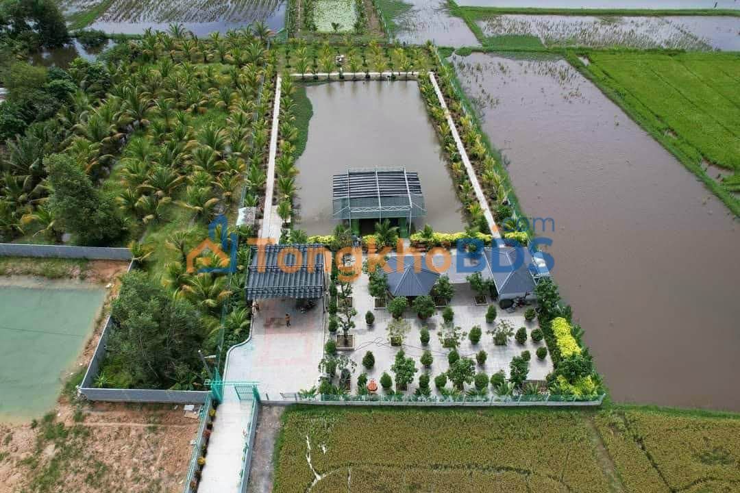 Đất vườn Tân Đức Đức Hòa 6.110m² 8 tỷ - Nghỉ dưỡng lý tưởng