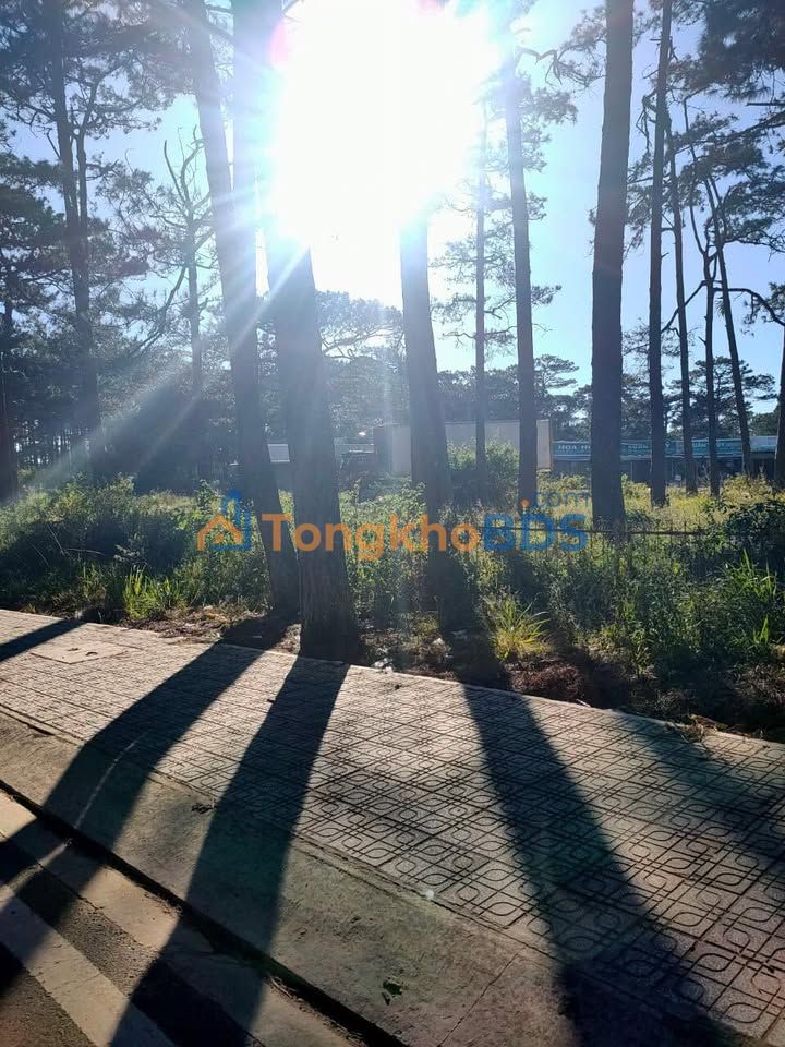 Đất nền Phường 1 Tây Ninh 241m2 3.9 tỷ - Sổ đỏ chính chủ