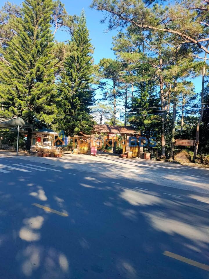 Đất nền Phường 7 Tân An 550m² giá 10.499 tỷ - Sổ đỏ chính chủ