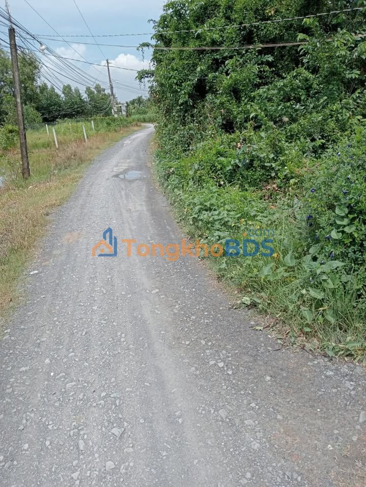 Đất Vườn 743m² Long An - 3.1 Tỷ, Có Nhà Sẵn, Sổ Đỏ Chính Chủ