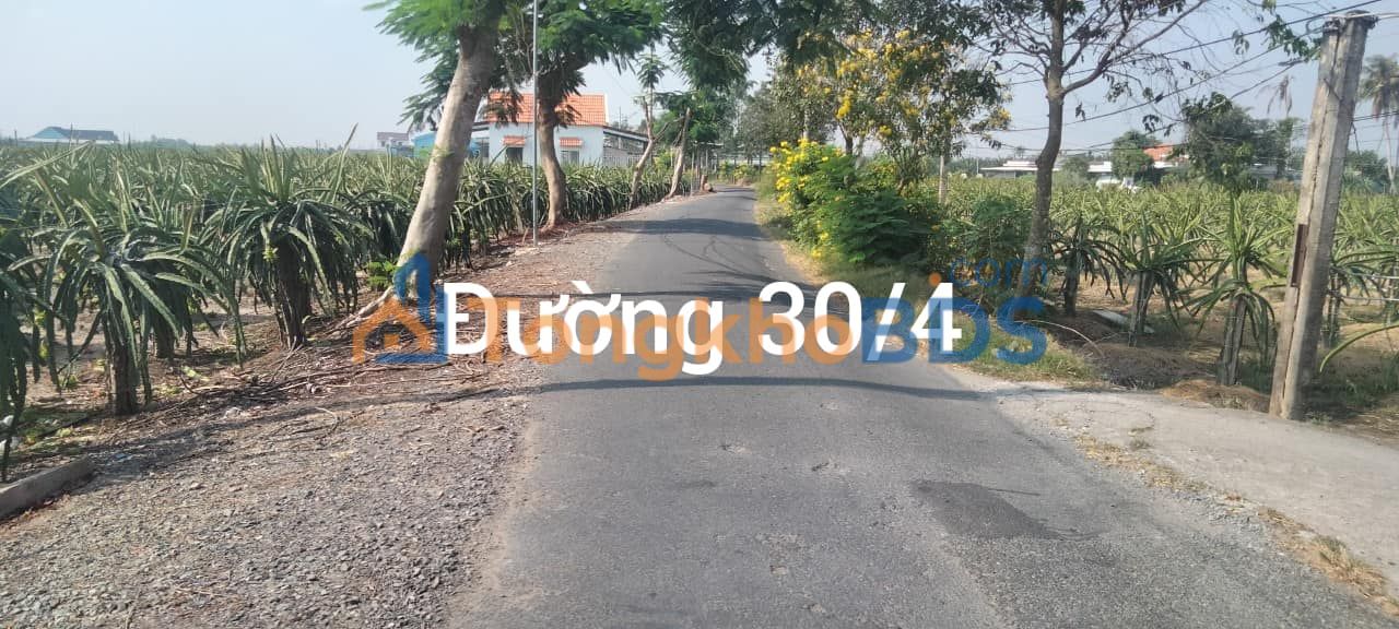 Đất lúa Phước Tân Hưng 2,1 tỷ/3500m² - Sổ đỏ chính chủ