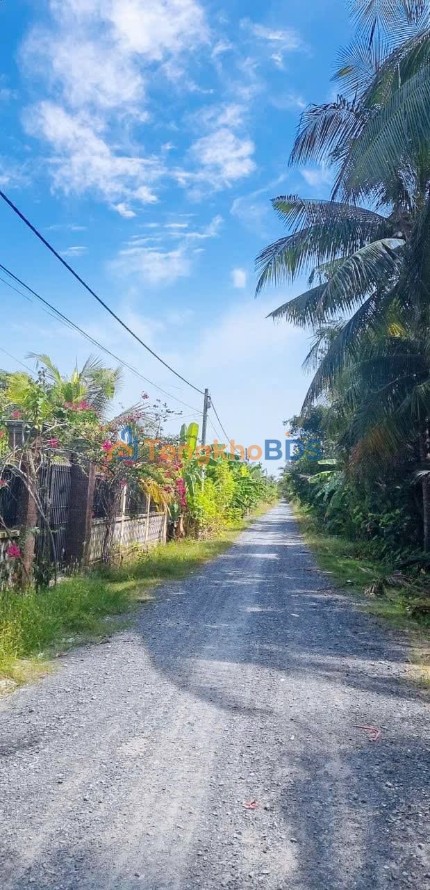 Kho Xưởng Đức Hòa 229m² - Mặt Tiền Kênh Xáng Ngang - Giá 3.2 Tỷ