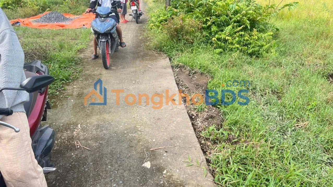 Đất nền Long Sơn Cần Đước 110m² 560 triệu - Sổ hồng chính chủ