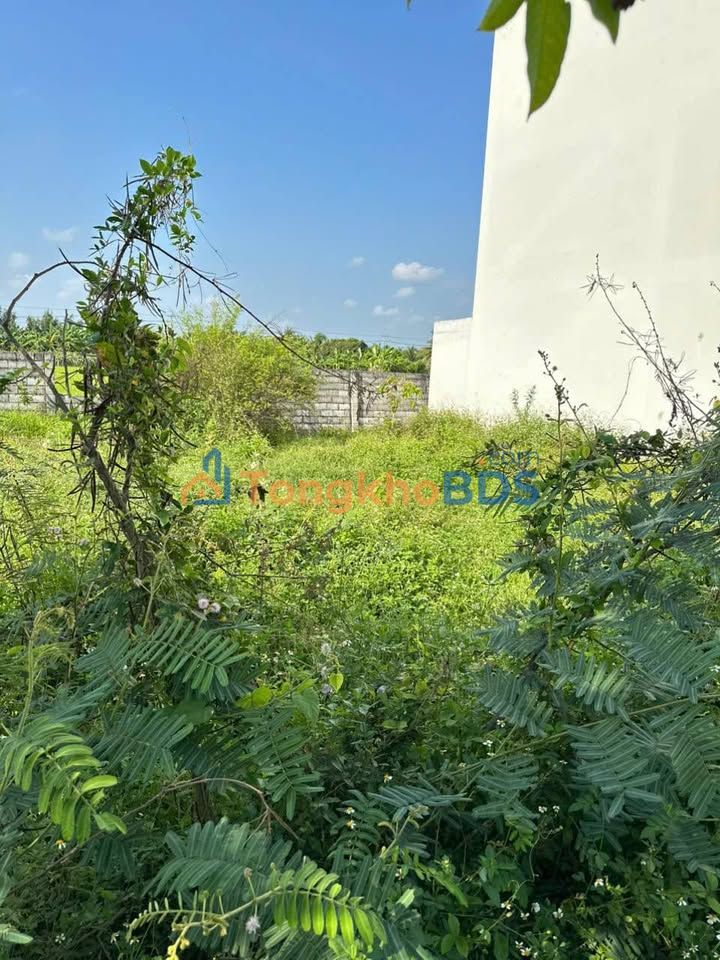 Đất nền KDC An Nhiên Phường 6 Tân An 95m² 980 triệu - Sổ hồng riêng