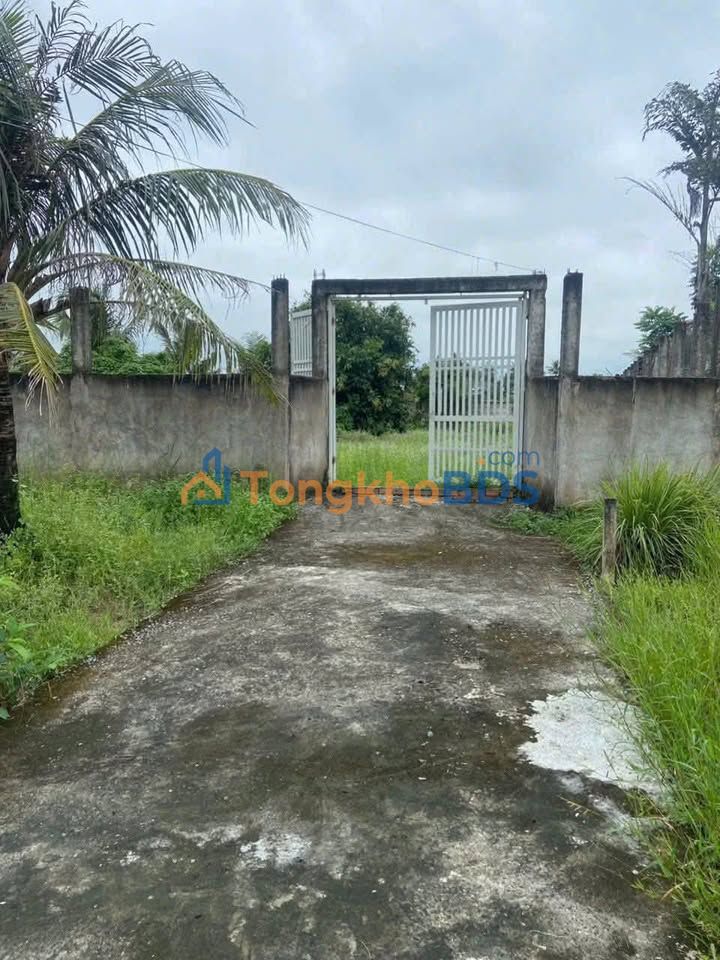 Bán Đất Vườn 1000m² Xã Mỹ Lệ, Long An - Giá 1.28 Tỷ, Sẵn Sàng Nghỉ Dưỡng