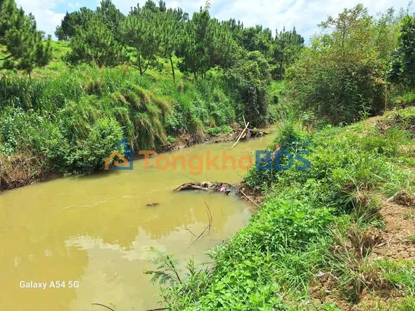 Đất nền Hòa Ninh Di Linh 15.000m² 27,08 tỷ - Tiềm năng tăng giá