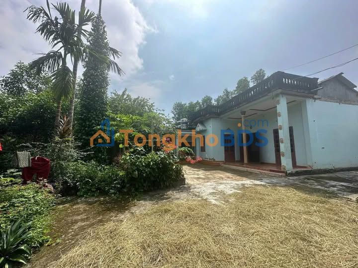 Nhà Phương Viên Hạ Hòa 530m² 500 triệu, chính chủ bán