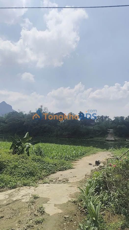 Bán Gấp Đất Nền Lạc Thủy 300m² - Nhà 2 Tầng View Sông Bôi, Chỉ 1 Tỷ