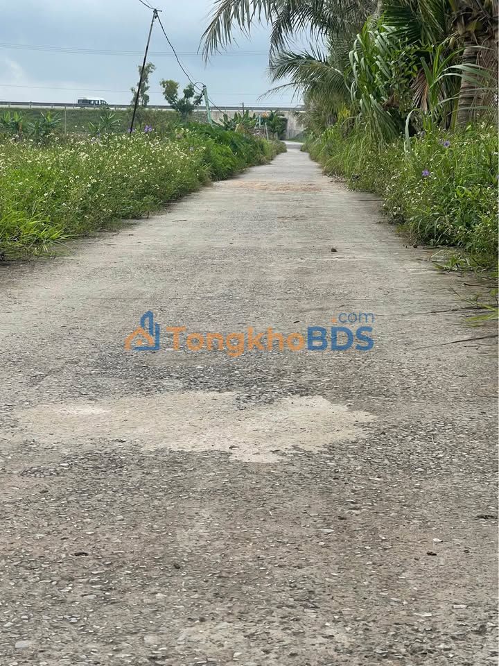 Nhà Vườn 4000m² Thuận Thiên, view sông - Giá chỉ hơn 2 tỷ