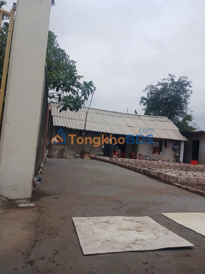 Đất nền Thủy Nguyên, Hải Phòng 50m² - Sổ đỏ chính chủ, giá đầu tư 1.3 tỷ