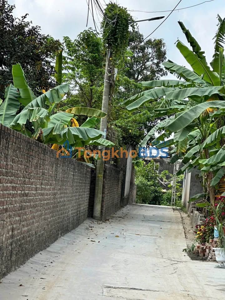 Đất nền An Lão Hải Phòng 60m² 8xx triệu - Ô tô vào tận lô