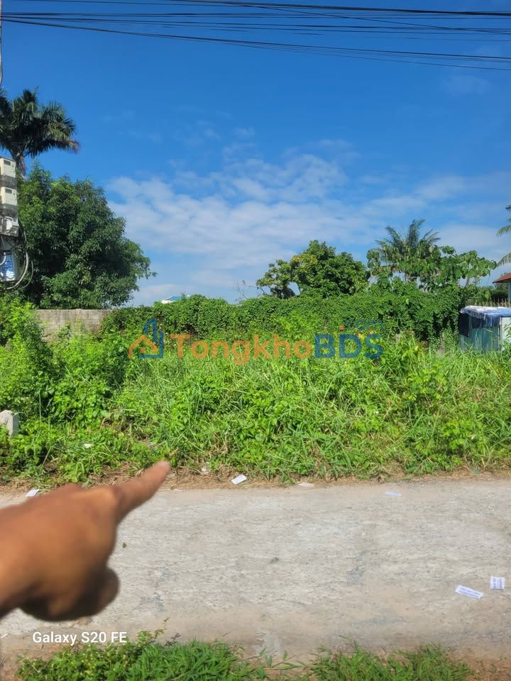 Đất Nền Mặt Tiền Mỹ Hạnh Nam, Đức Hòa 95m² - Sổ Hồng Riêng, Giá 1.3 Tỷ