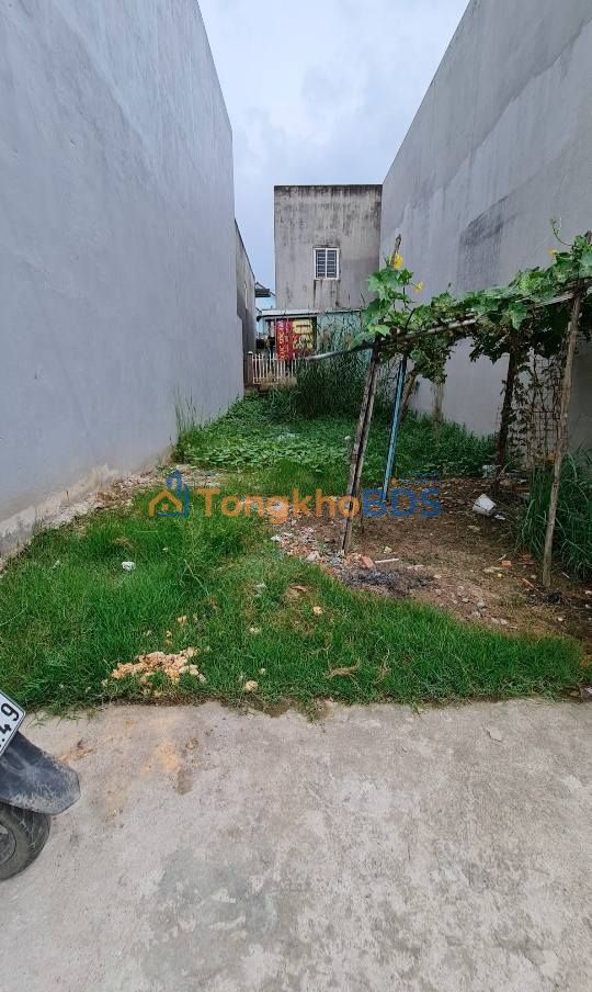 Đất nền Long Hậu Cần Giuộc 81m² 1.59 tỷ - Sổ đỏ