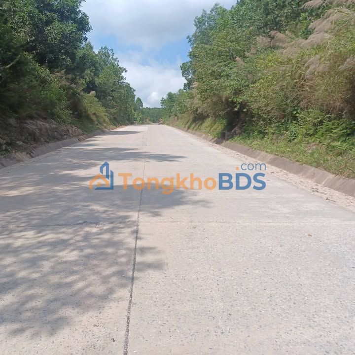 Đất vườn Bình Hiệp Bình Sơn 3.600m² - Đầu tư dài hạn