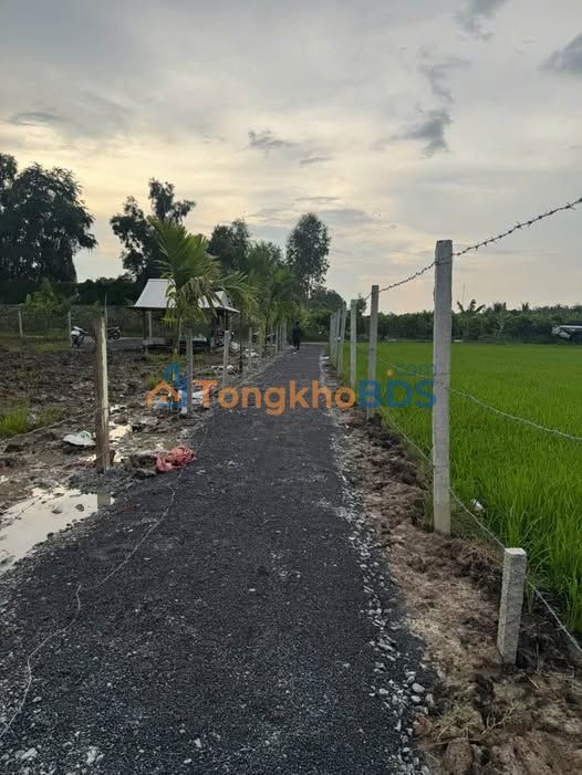 Đất Vườn An Giang 10.000m² - Giá Tốt Gần Asuka City, Châu Đốc