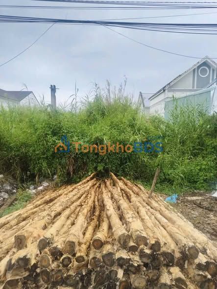 Đất nền An Dương Vương Sóc Trăng 1.8 tỷ - Sổ đỏ chính chủ