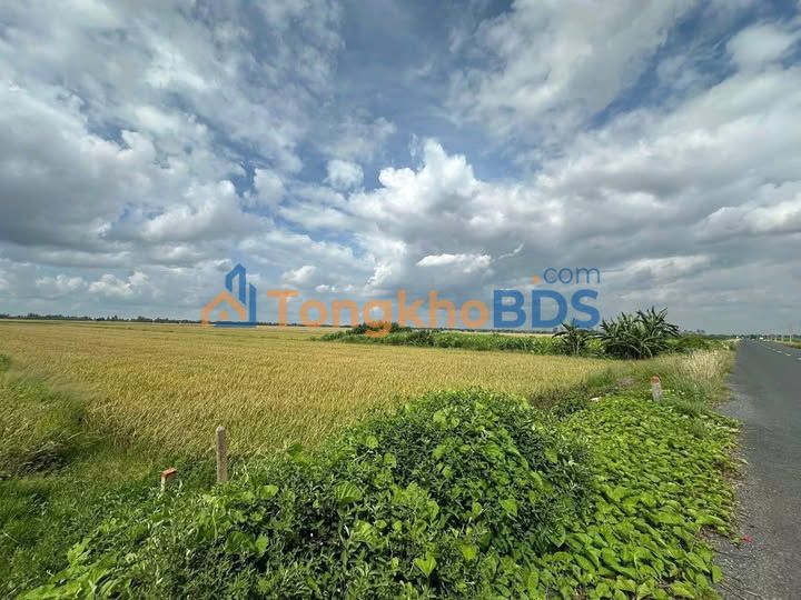 Mặt Tiền Kinh Doanh Siêu Cảng Trần Đề, Sóc Trăng - 2325m²