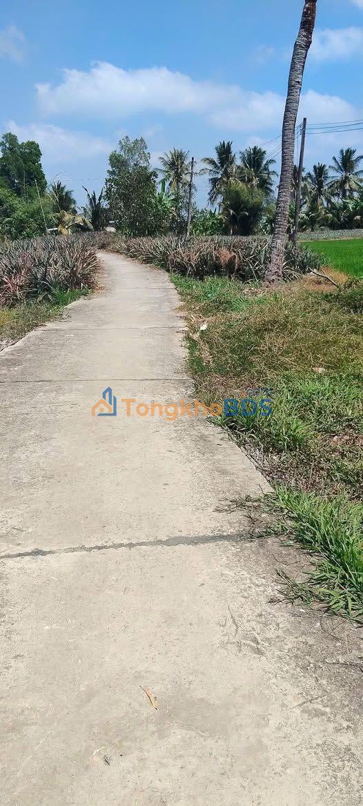 Đất Vĩnh Hòa Hưng Kiên Giang 2650m² Sổ Hồng Riêng - Giá 620 Triệu