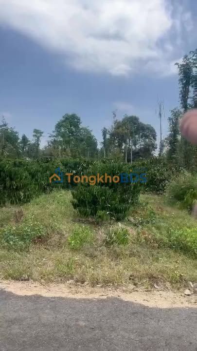 Đất Kim Long Châu Đức 1.126m² 1.1 tỷ - Sổ đỏ chính chủ