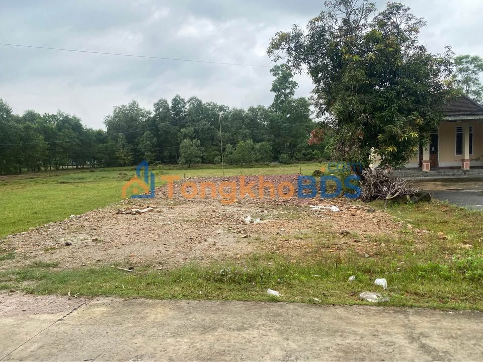 Đất nền Phú Vang 137m² giá 500-599 triệu - Sổ đỏ chính chủ