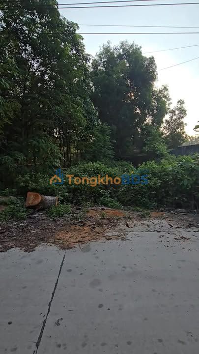 Đất 660m² Bắc Tân Uyên - Sổ Đỏ Thổ Cư, Mặt Tiền Bê Tông 8m