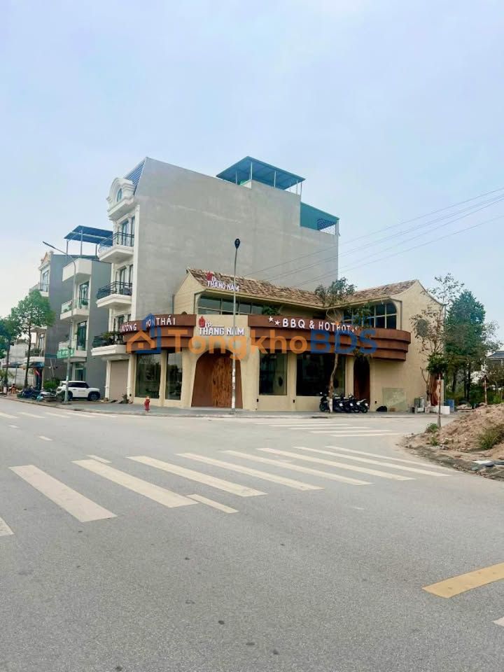 Bán Đất DMC Bắc Giang 100m² - Lô Góc Kinh Doanh Vượng Khí