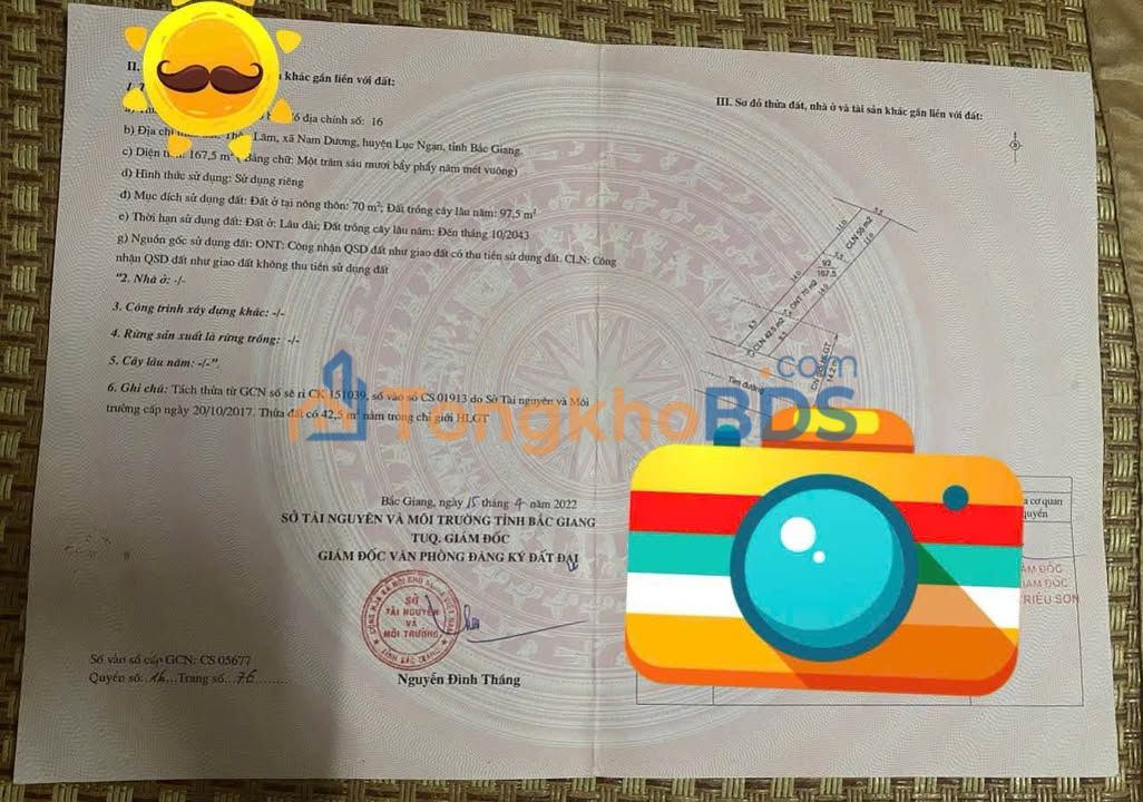 Đất nền Lục Ngạn 167m² giá 900 triệu - Sổ đỏ chính chủ