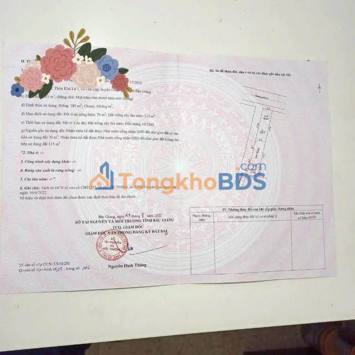 Đất nền Tân Lập Lục Ngạn 70m² 1 tỷ - Đường to ô tô 291B