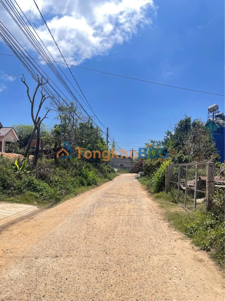 Đất Vườn 2415m² View Xinh Tại D'Ran, Lâm Đồng - Sổ Riêng, Giá 1.6 Tỷ