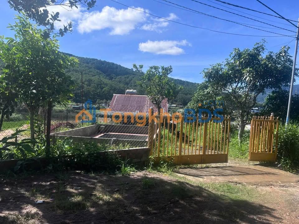 Đất nền Phường 3 Đà Lạt 1506m² 7,9 tỷ - Sổ đỏ chính chủ