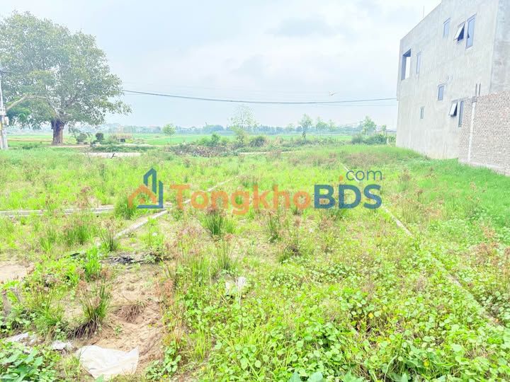 Đất Nền 62m² Phường Trạm Lộ, Thuận Thành - Sổ Sẵn, Giá Tốt