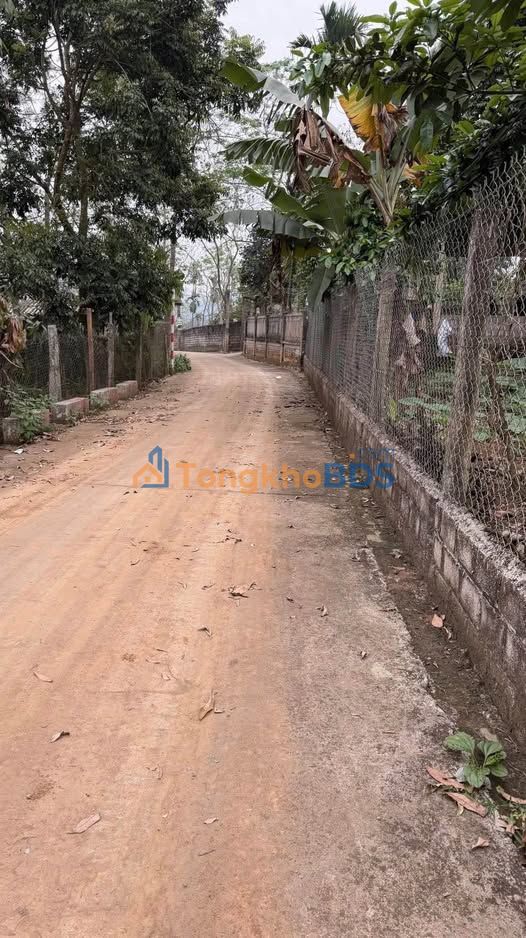 Đất thổ cư Ba Vì Thôn 2 3236m² 2.x triệu – Sổ đỏ chính chủ